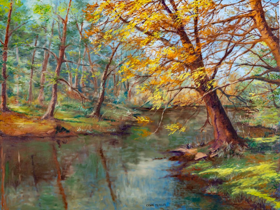 Meandering Stream. Fine Art Prints from €85