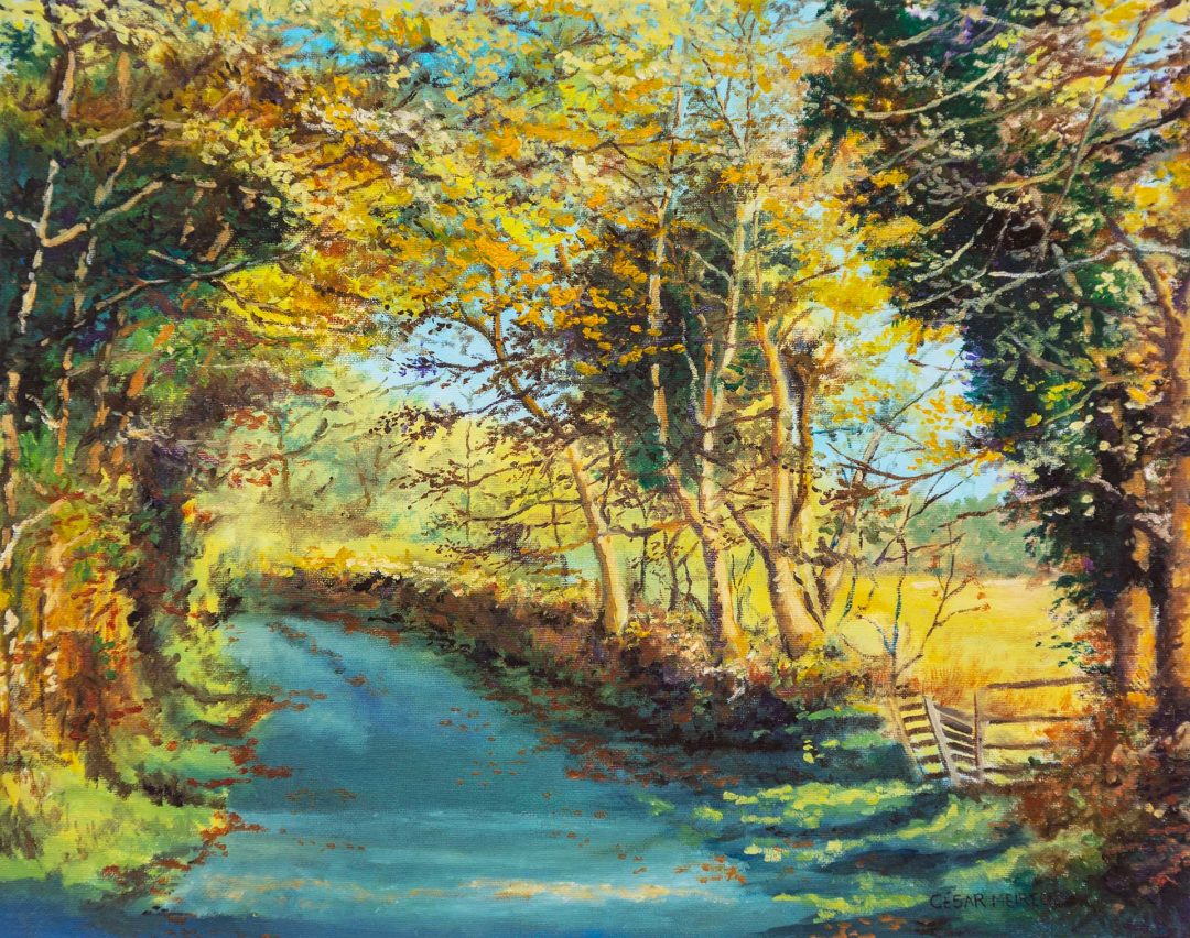 Autumn Lane, Wexford. Fine Art Prints from €85
