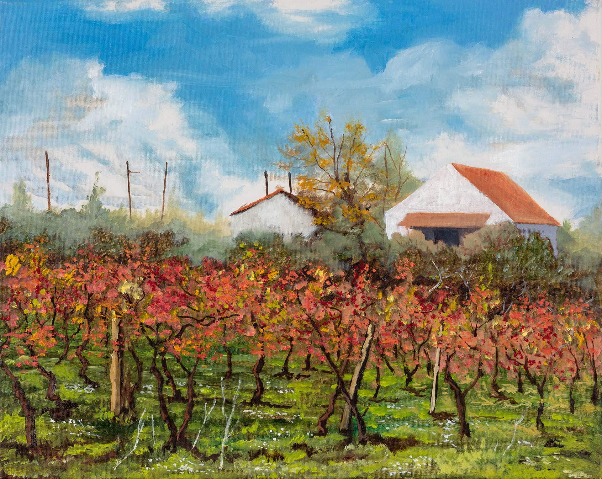 cesar meireles art - November Vines, Vale de Madeira, Portugal - fine art prints