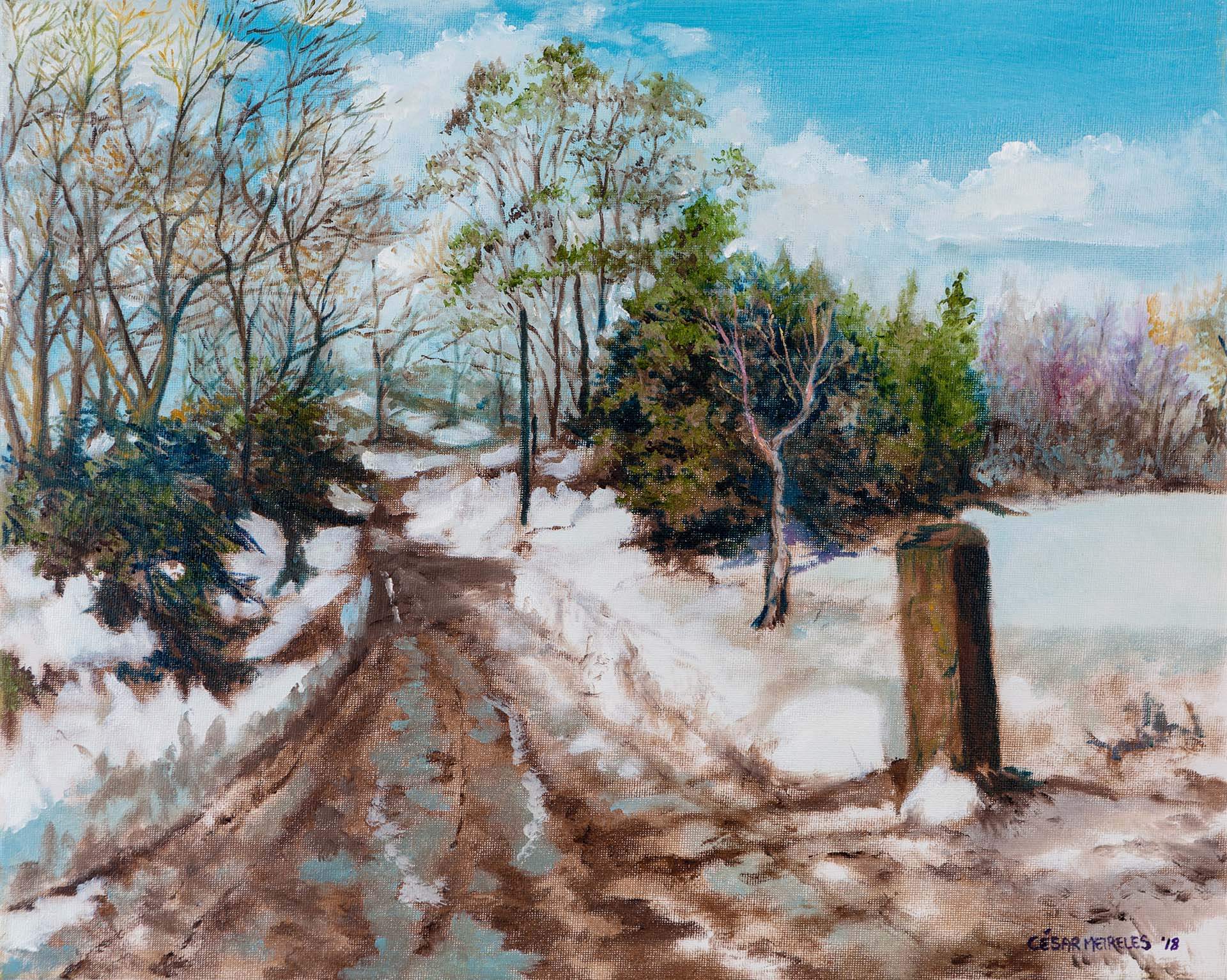cesar meireles art - Snowy lane - Monagreana - Wexford - fine art print