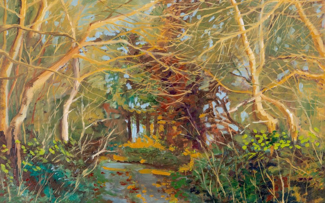 Winter Lane, Monagreana, Wexford. 20 x 16 inch.
