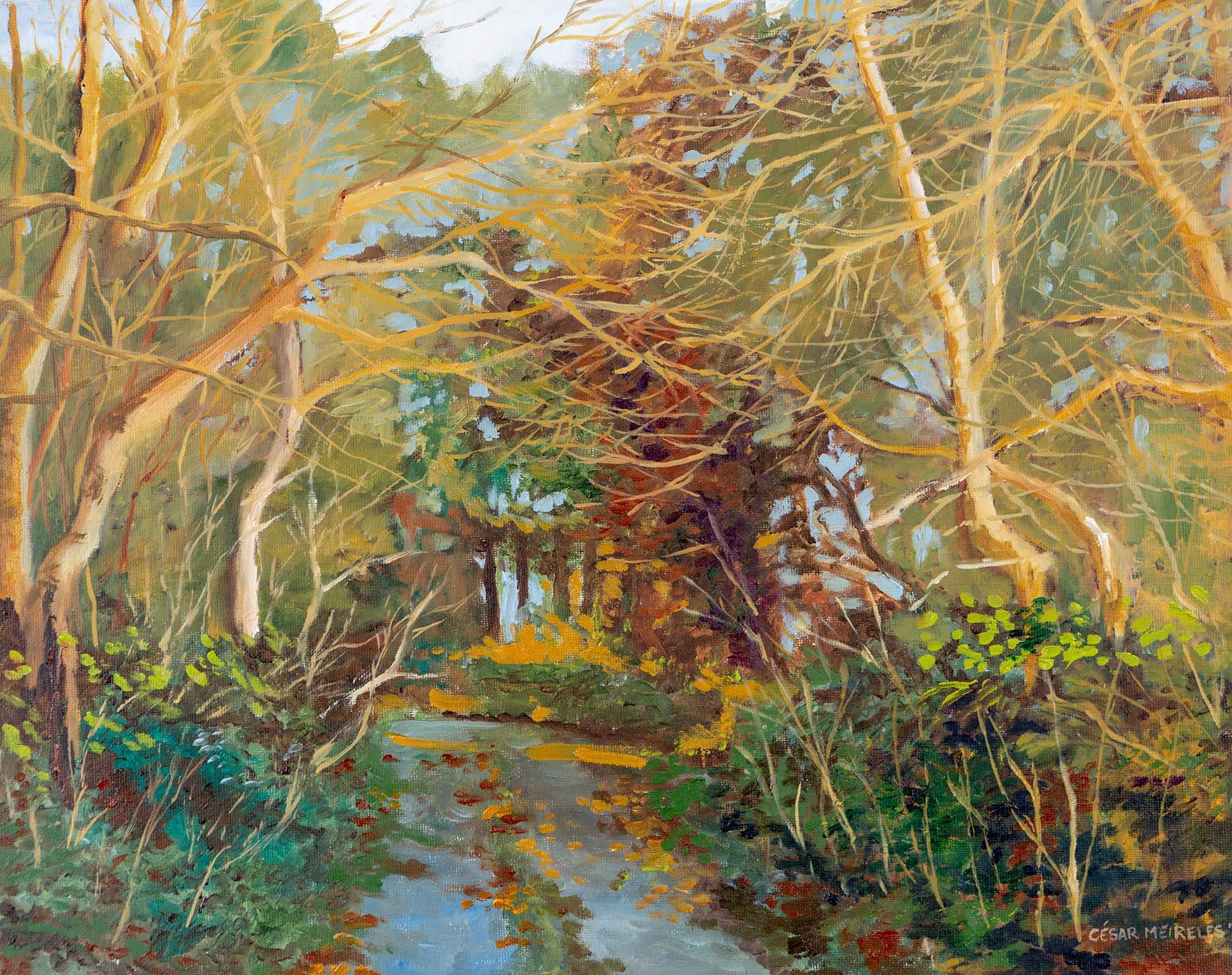 cesar meireles art - Winter lane - Monagreana - Wexford - fine art prints