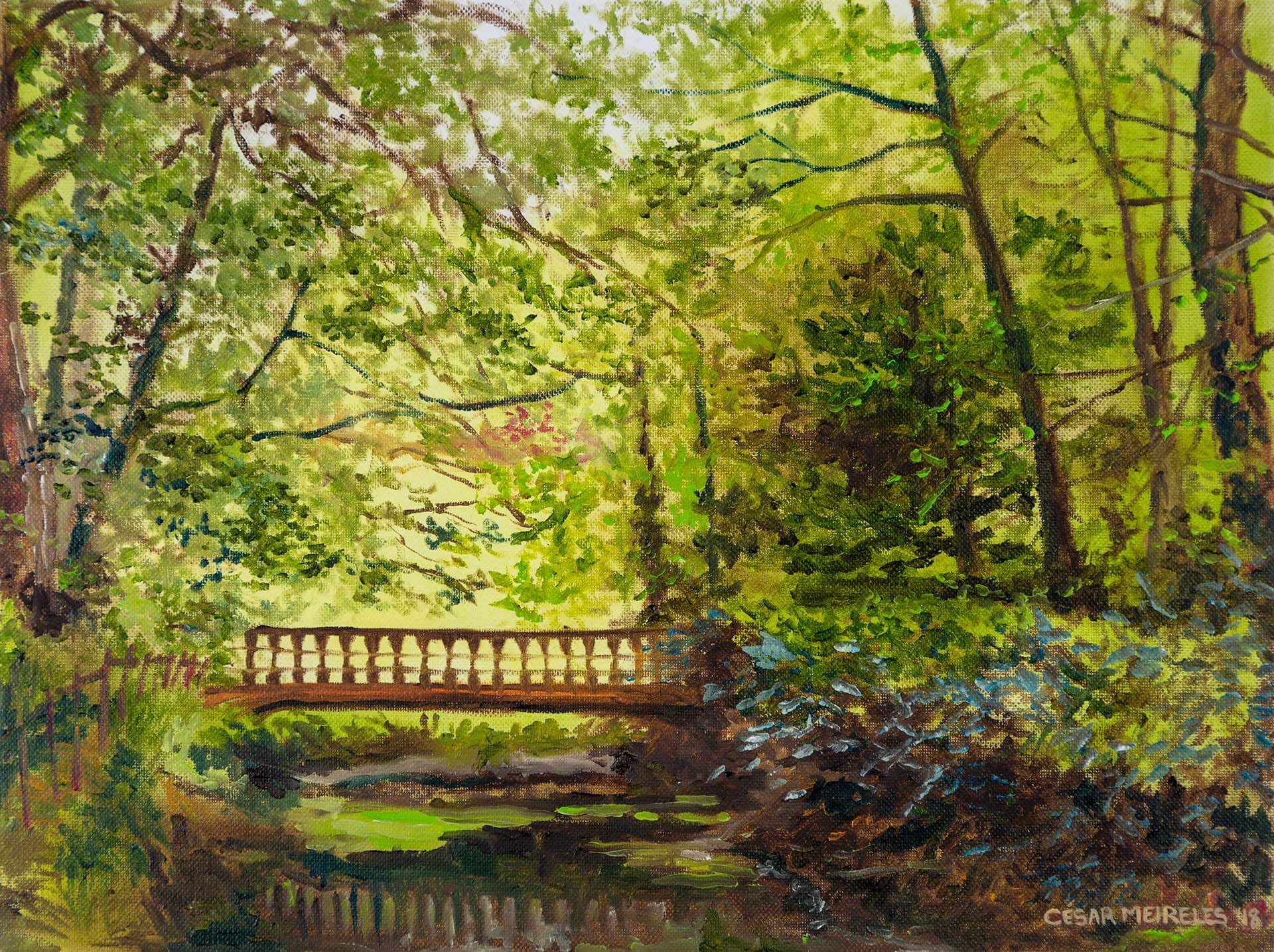 cesar meireles art - Bridge Clonegal Wexford - fine art prints