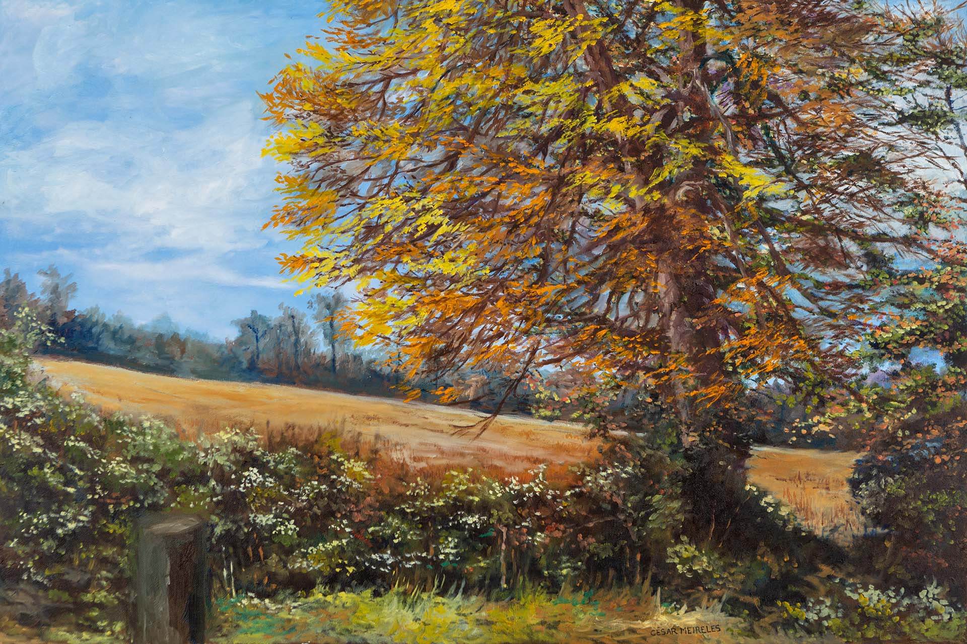 cesar meireles art - sunny autumn day - monagreana - fine art print