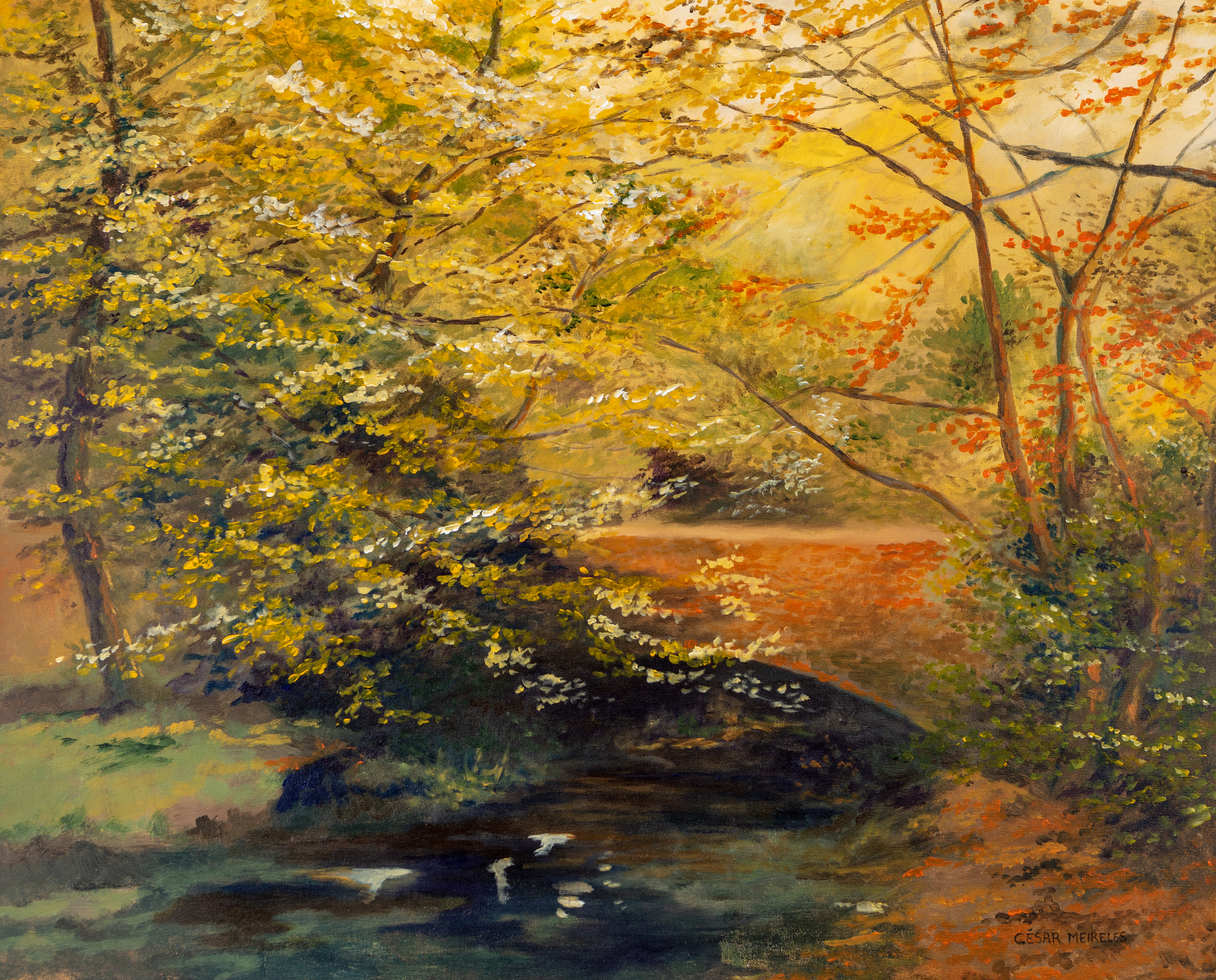 cesar meireles art Bridge Craanford County Wexford - fine art print